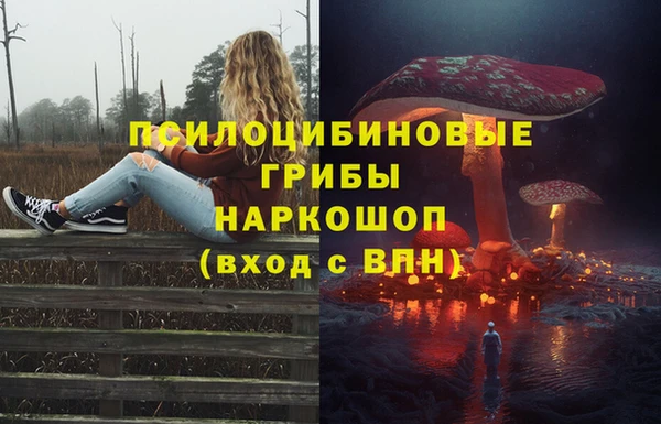 эйфоретик Алзамай
