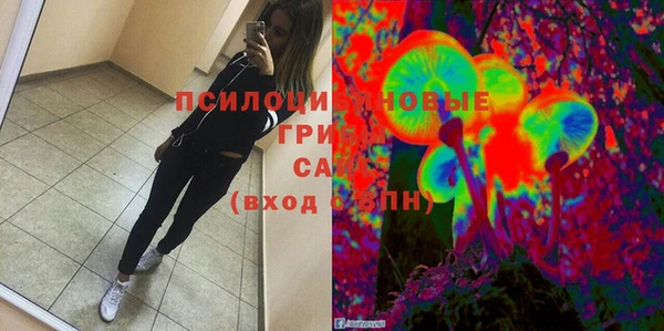 молекула духа Алексеевка