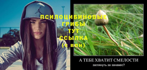 эйфоретик Алзамай