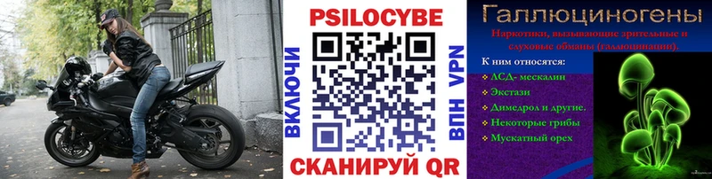 купить закладку  Дзержинск  Галлюциногенные грибы GOLDEN TEACHER 